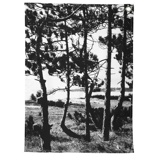 Geschirrtuch "Wald", By Nord