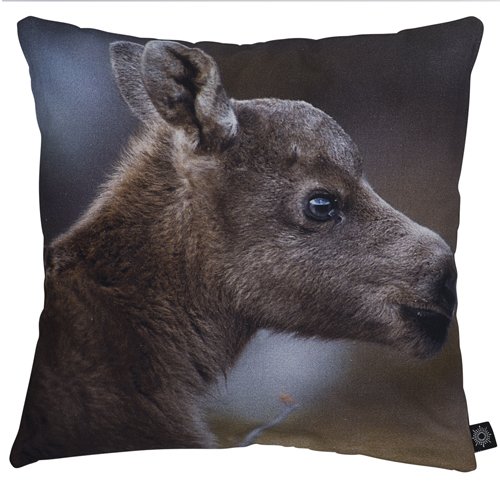Kinderkissen "Baby Elch"