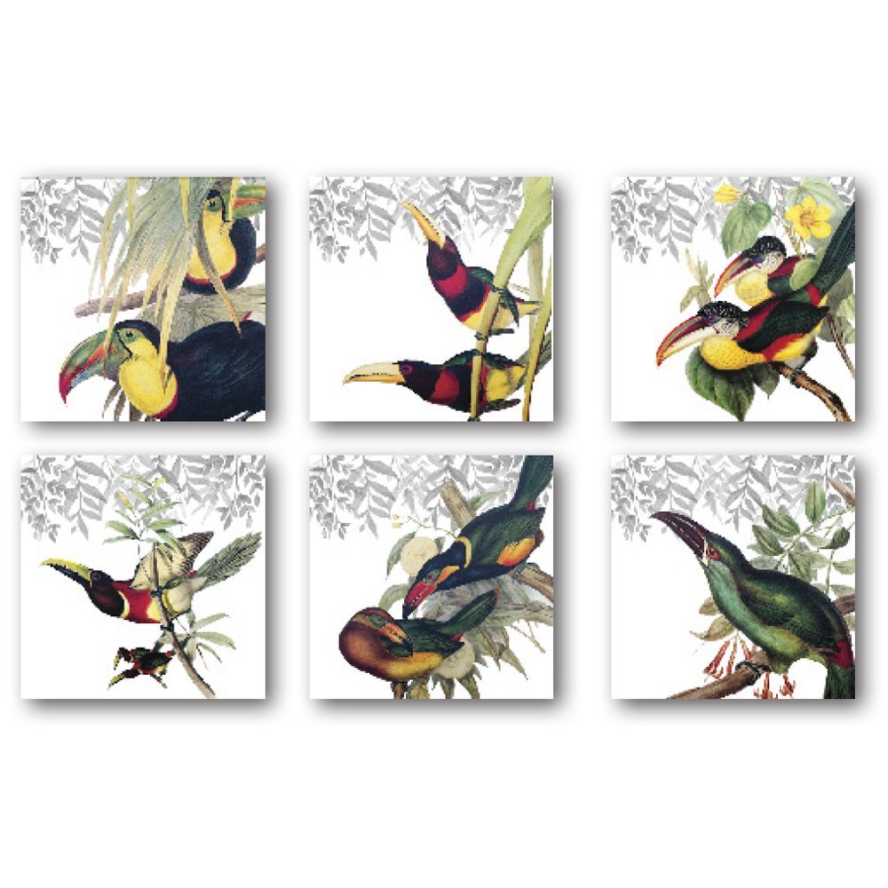 6 Servietten "Toucans"