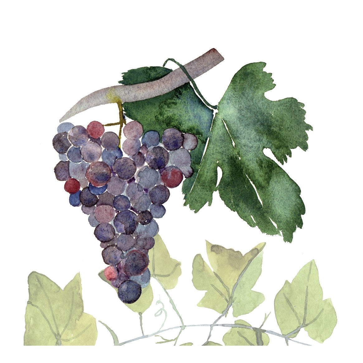 4 Servietten "Grapes"