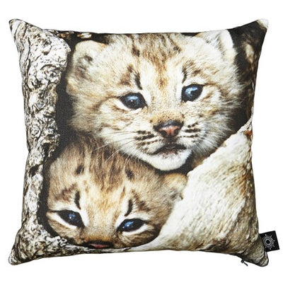 Kinderkissen-Hülle "Baby-Luchse" von By Nord