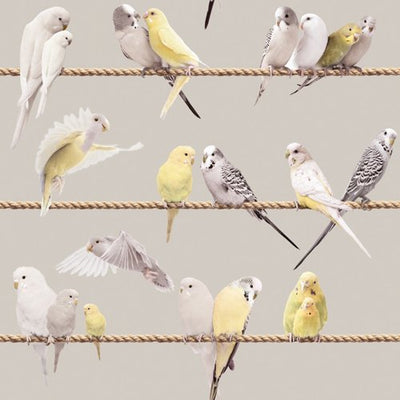 Tapete "Lovebirds grey" , von Koziel aus Frankreich