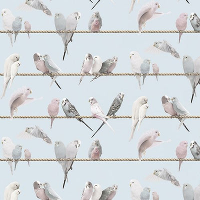 Tapete "Lovebirds, blue" von Koziel aus Frankreich