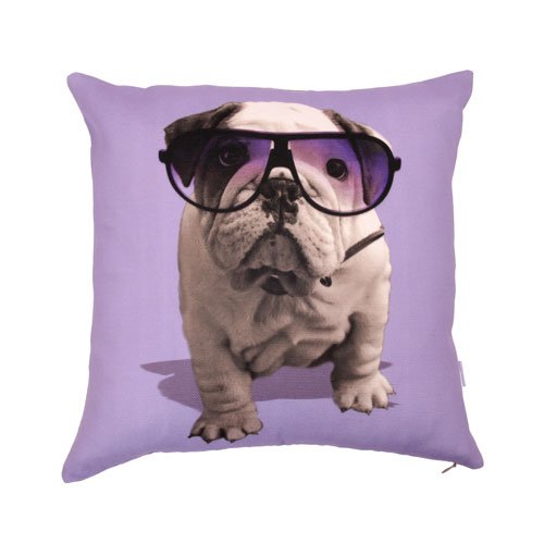 Kissenhülle, "Hund mit Brille"