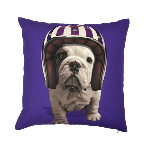 Kissenhülle "Hund mit Helm", violett