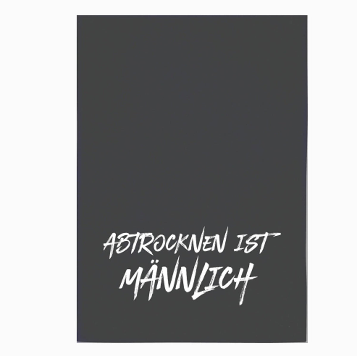 Geschirrtuch " Abtrocknen ist männlich" von 17;30