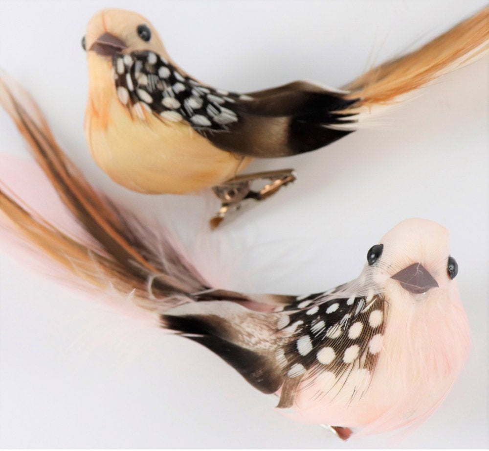 6 Ziervögel "Birdy"