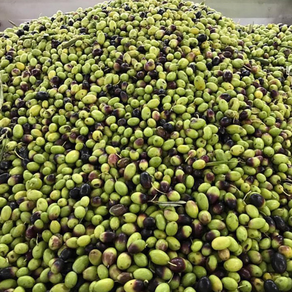 Olivenöl von LAMACONTE aus Apulien